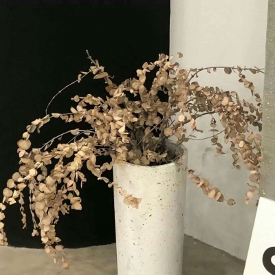 Furry插画色彩搭配福瑞群